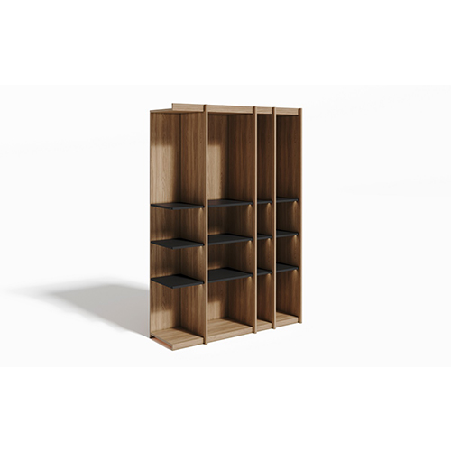 Открытая секция ЭВОЛЮШН